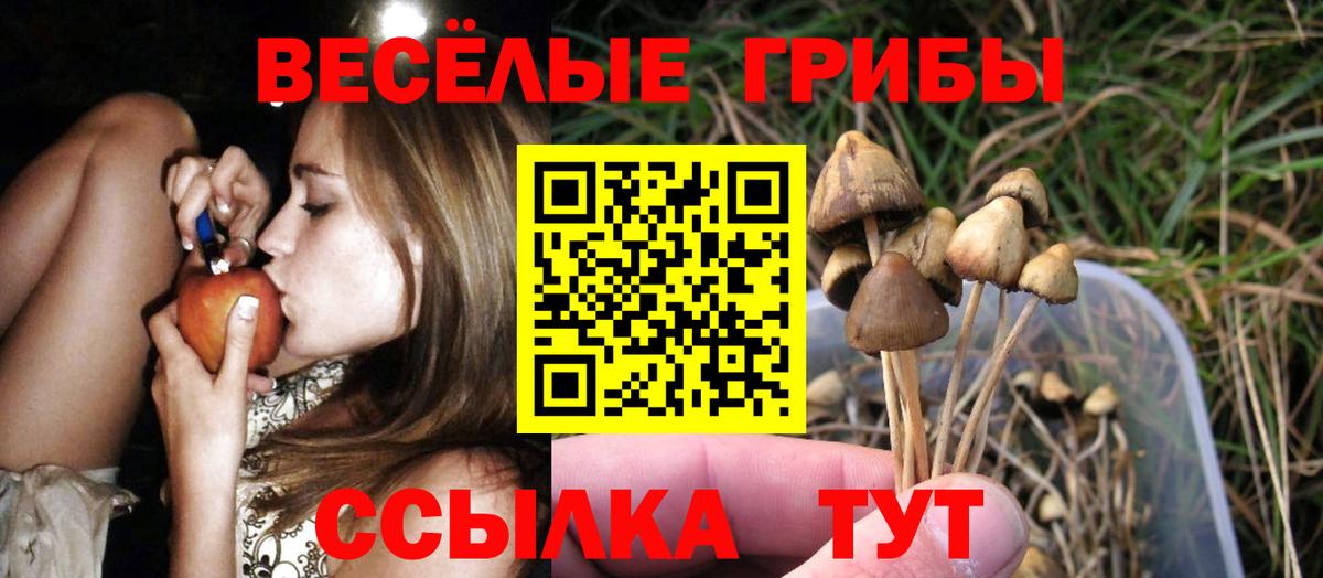 Сосновый Бор  Галлюциногенные грибы прущие грибы  Псилоцибиновые грибы MAGIC MUSHROOMS  Вход с VPN 