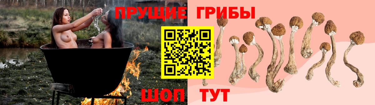 Галлюциногенные грибы Magic Shrooms Сосновый Бор